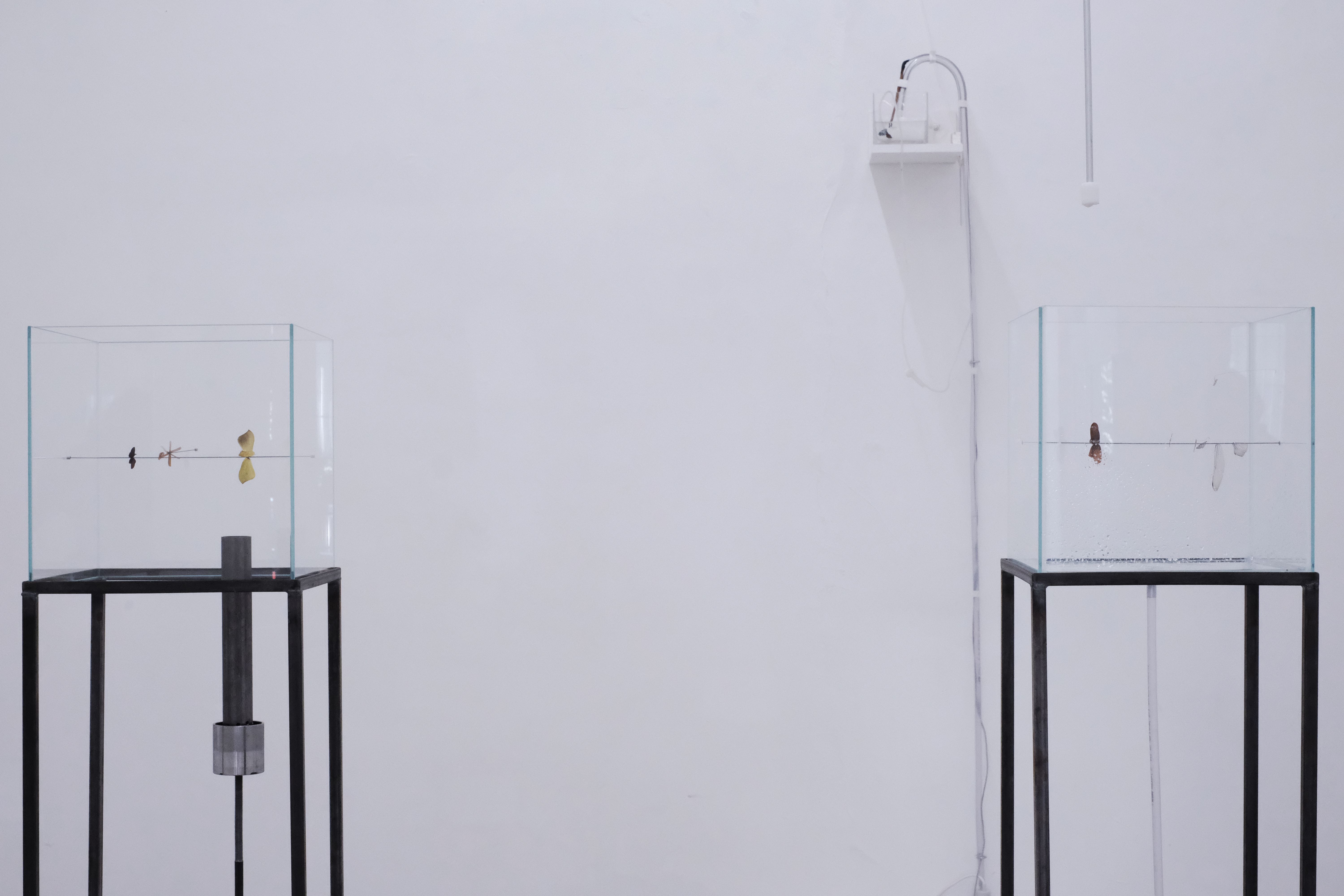Ausstellungsansicht, Intersections #2, Anna Werzowa, Galerie Kunstbüro, 2018