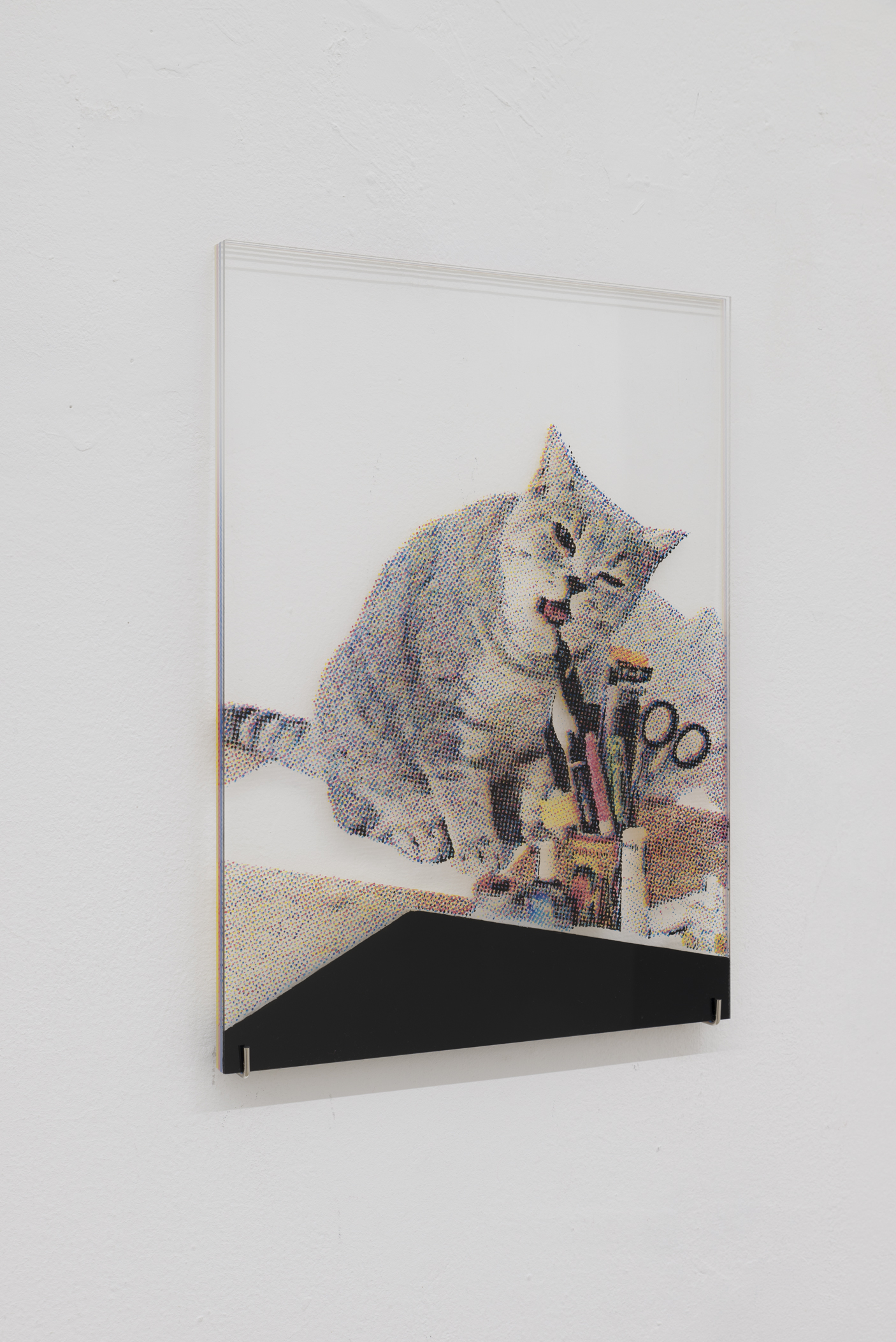 Yuki Higashino, Cat 1, Acrylic paint on Plexiglas, 2018